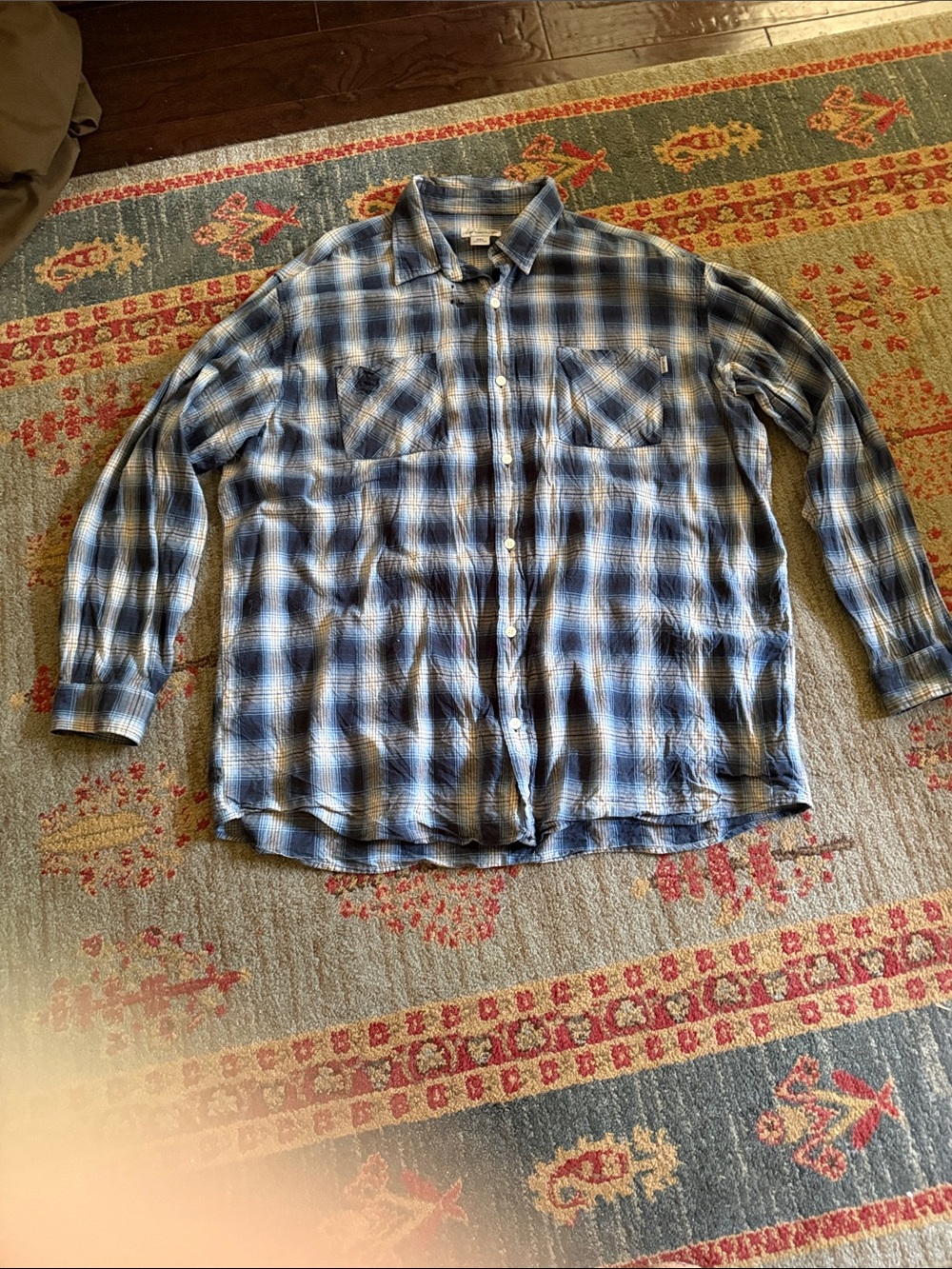 Carhartt Blue Plaid Long-Sleeve Button-Down Shirt